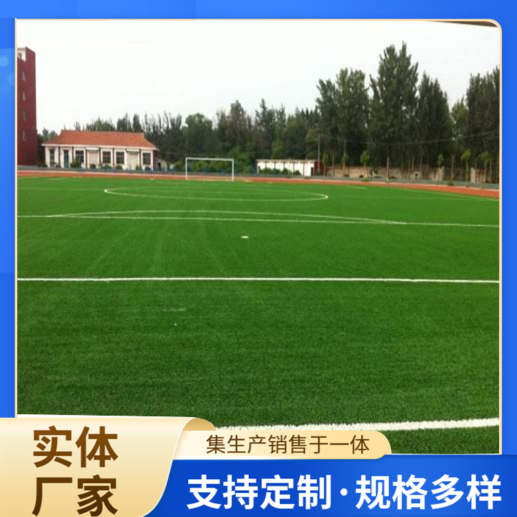 泸州市人造草坪人造草坪 - 方案